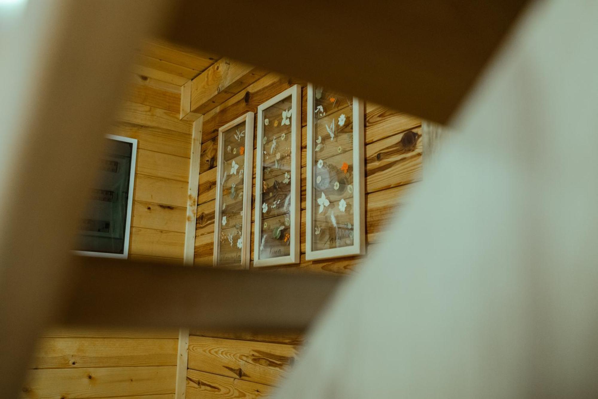 Planinska Kuca Zaliv Villa Zaovine Luaran gambar